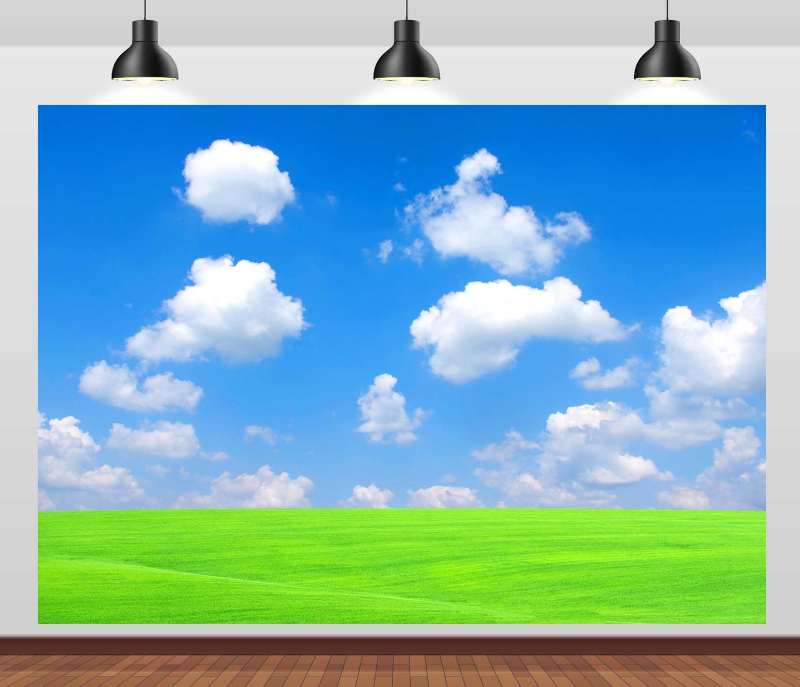 BELECO 6x3m Fabric Cielo Blu E Prato Verde Sfondo Fotografico | Scenario Naturale Luminoso Con Prato Verde Cielo Estivo Blu E Nuvole Bianche Per Feste Eventi E Ritratti
