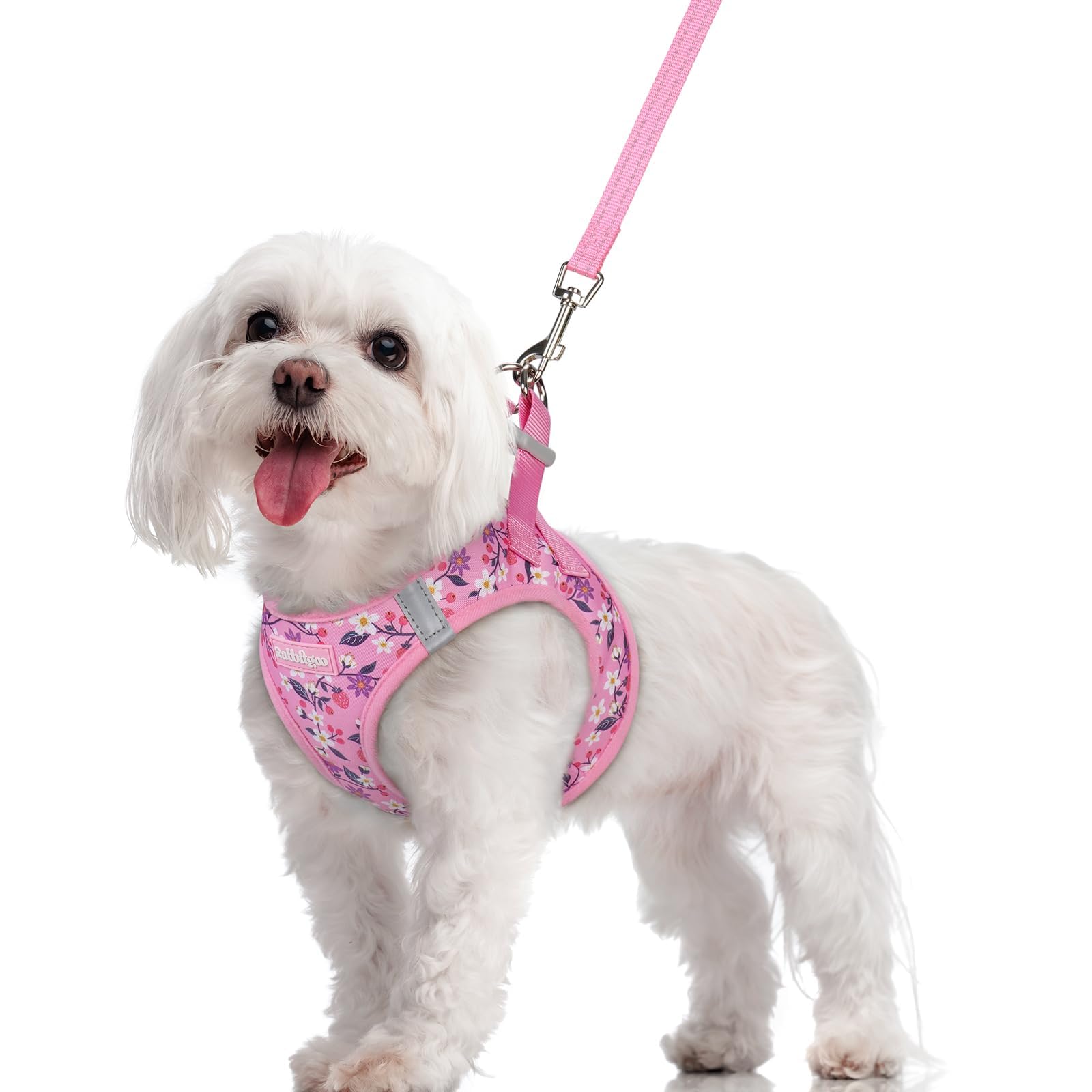 rabbitgoo Dog Harness Medium Sized and Leash Set, Step-in Puppy Pet Vest