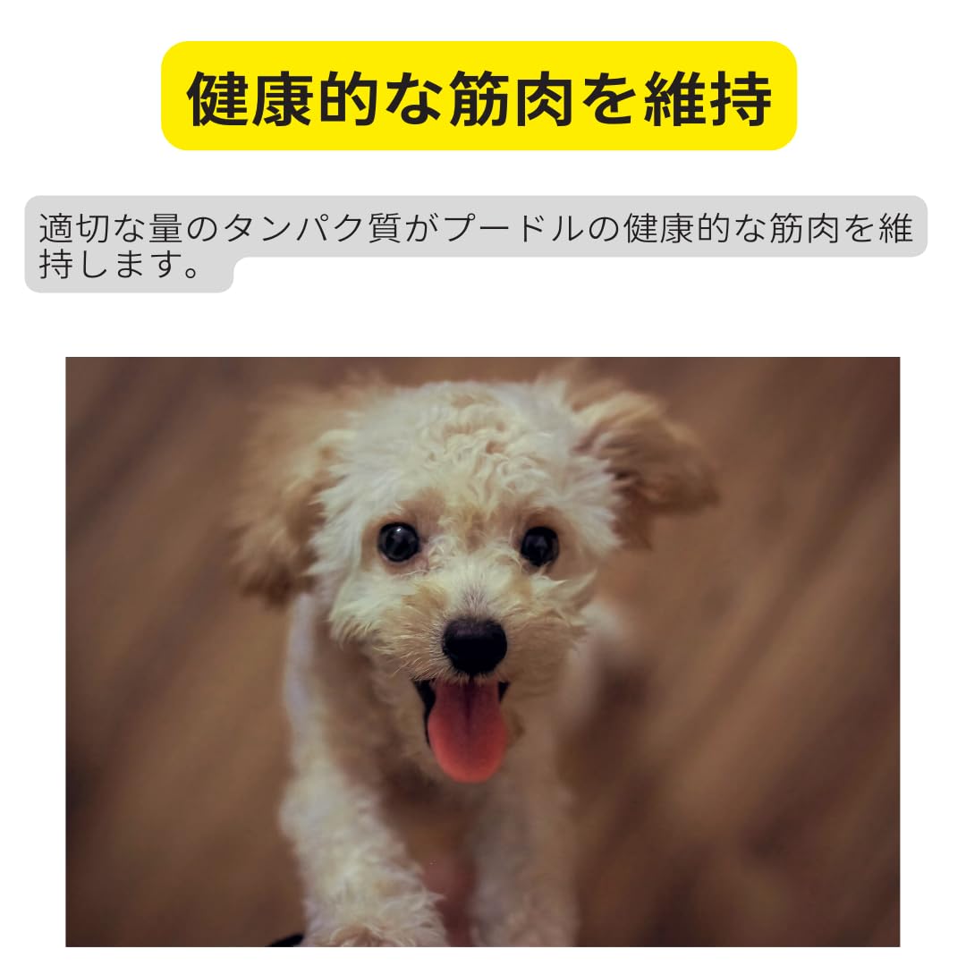 Amazon.co.jp: ロイヤルカナン プードル（生後10ヵ月以上）成犬用【7.5