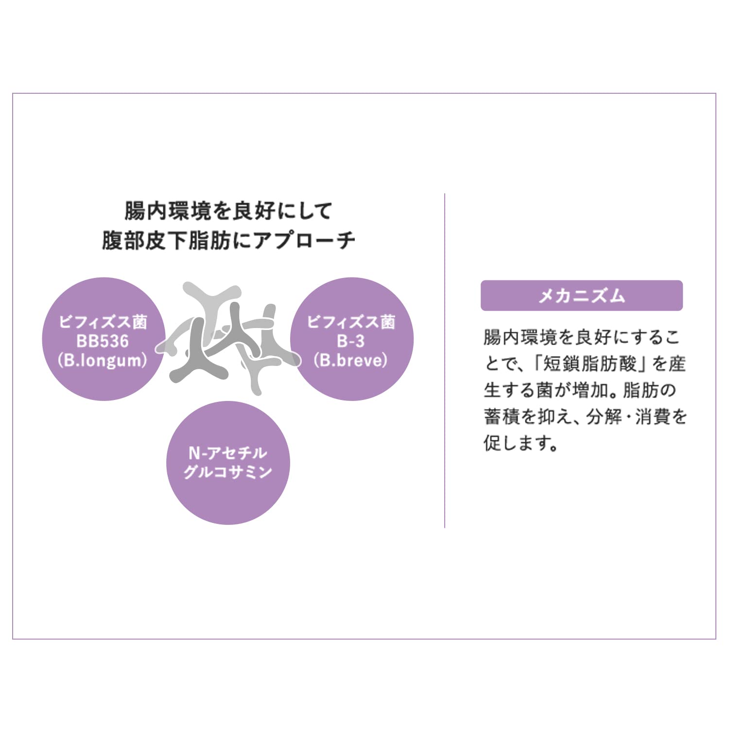 Amazon | アテニア (Attenir) インナースマート 90粒 (1日3粒 / 30回分