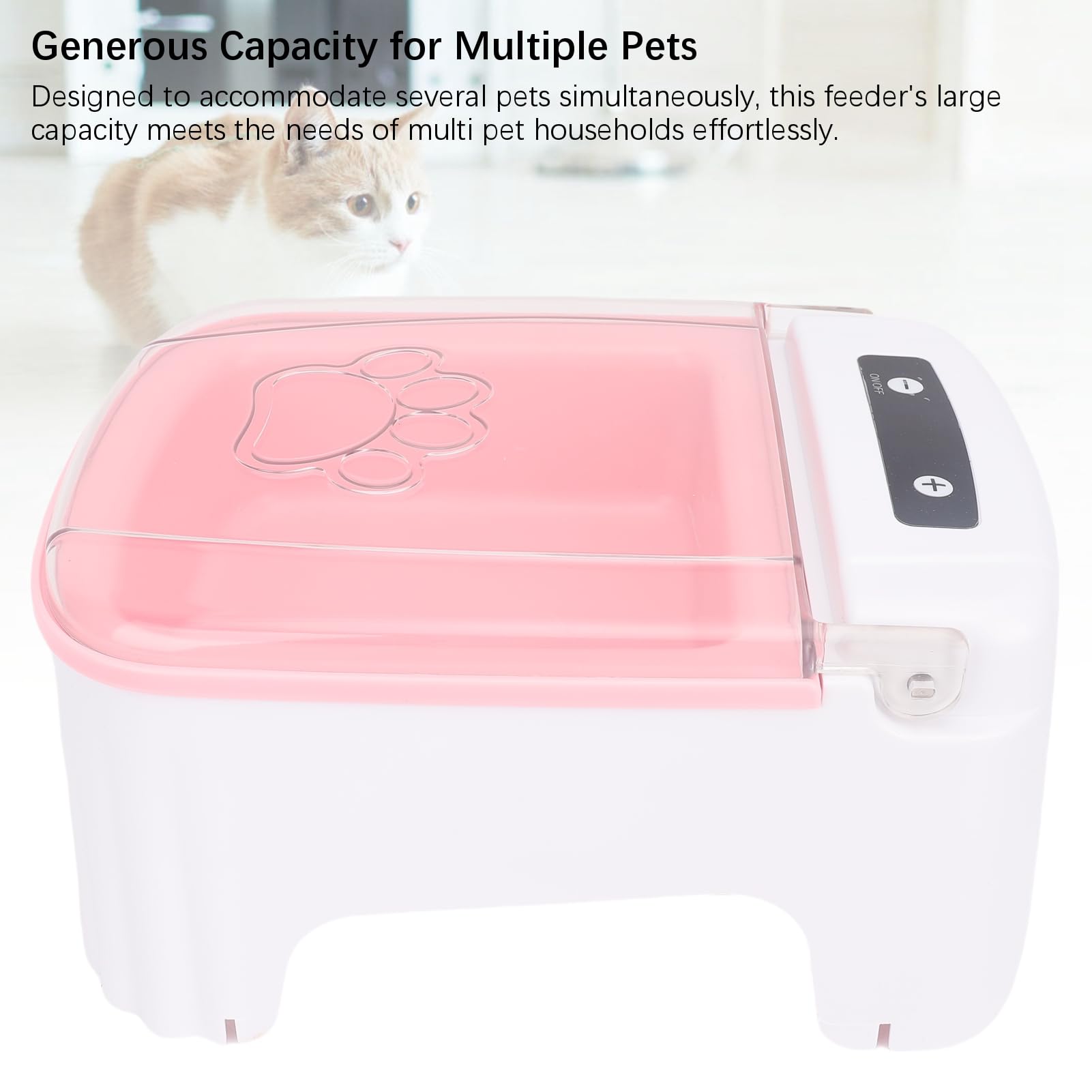 View 5