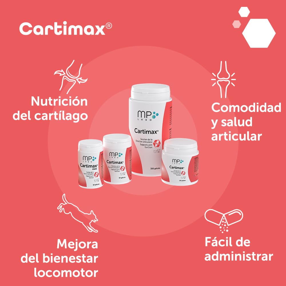 MP Labo Cartimax® - Apoyo de la función Articular para Perros y Gatos - Glucosamina, harpagofito, Reina de los prados, bambú y oligoelementos (250 cápsulas)