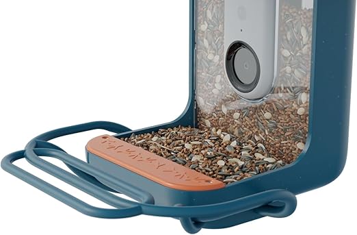 Bird Buddy Blue Perch Extender- Add-On Accessory for Better Birding Experience - Outdoor Perch for Feeding Multiple Birds - Weatherproof and Durable for Large Bird Species