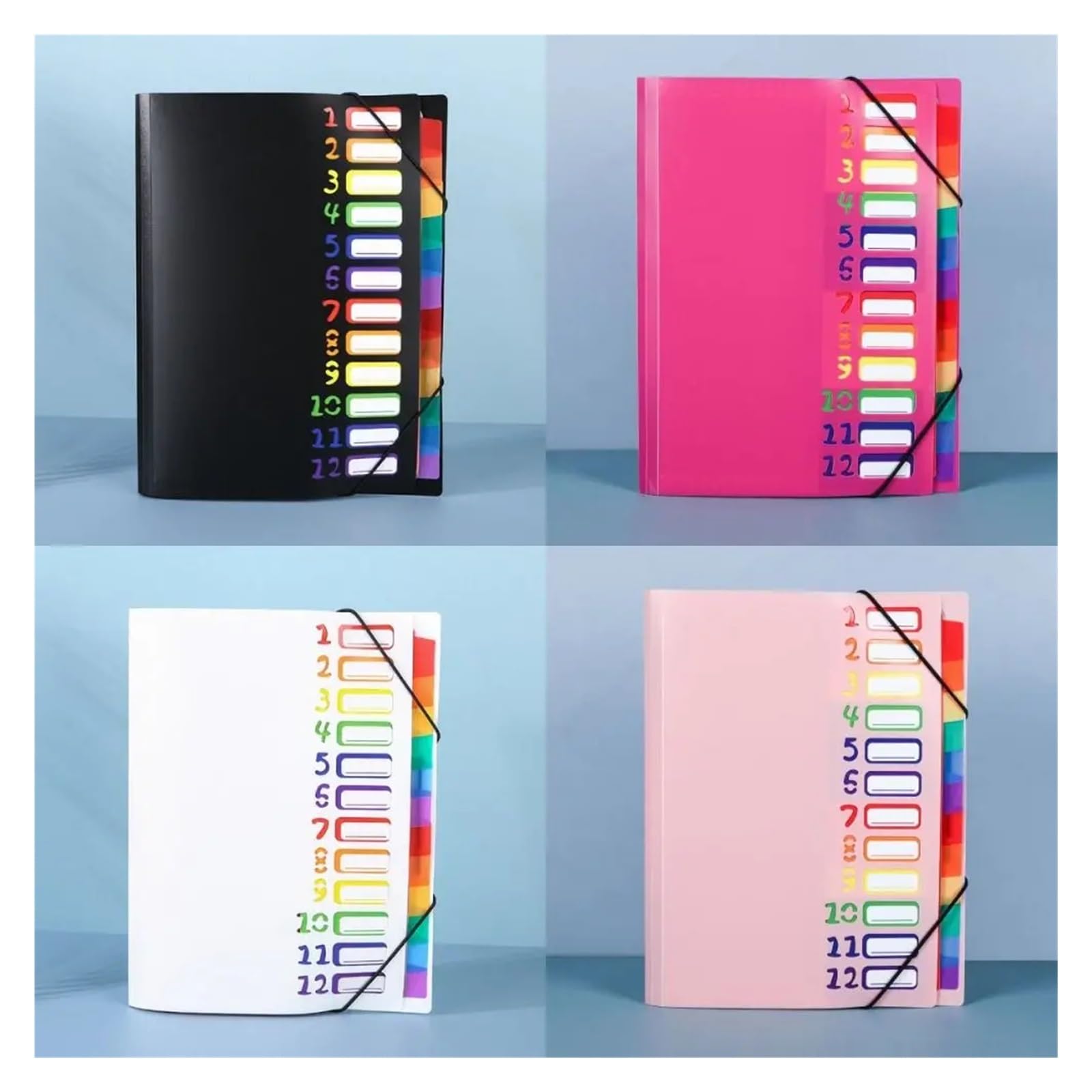 Organizer per documenti, Organizer for file in PP con fascia elastica A4 12 tasche