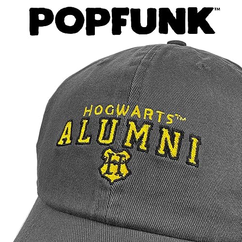 Popfunk Official Harry Potter Hogwarts Alumni Dad Hat miniatura 4
