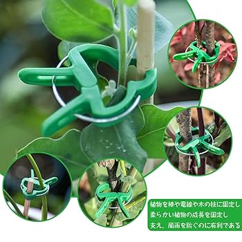 Amazon | 誘引クリップ 園芸 クリップ 紐誘引クリップ 植物