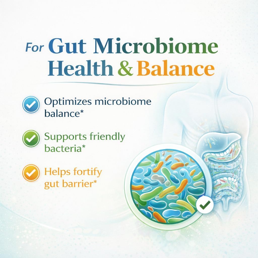 Bacillus B3 Spore-Based Probiotic + Enzymes for Gut Health & Microbiome Support, Shelf-Stable Daily Probiotic with Bacillus Coagulans, Bacillus Subtilis & Bacillus Clausii, 60 Capsules