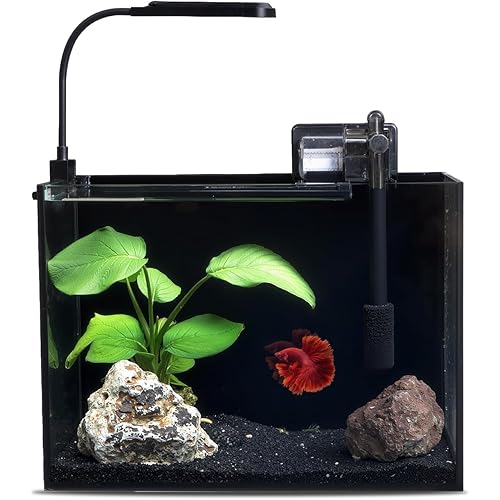 3 Gallon Glass Small Fish Tank, Betta Fish Tank Starter Kit with Filter, Lights, Lid