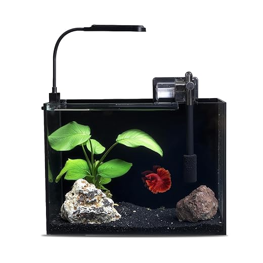 2.5 Gallon Glass Small Fish Tank Kit, Betta Fish Tank Aquarium Starter Kit with Filter, Lights, Lid, for Betta, Goldfish, Small Fish or Shrimp