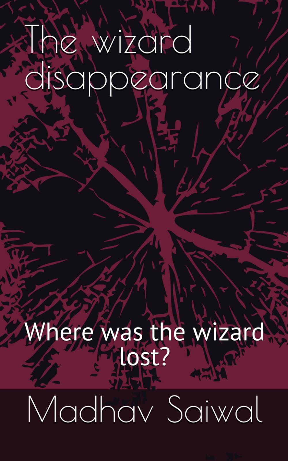 The wizard disappearance: Where was the wizard lost?