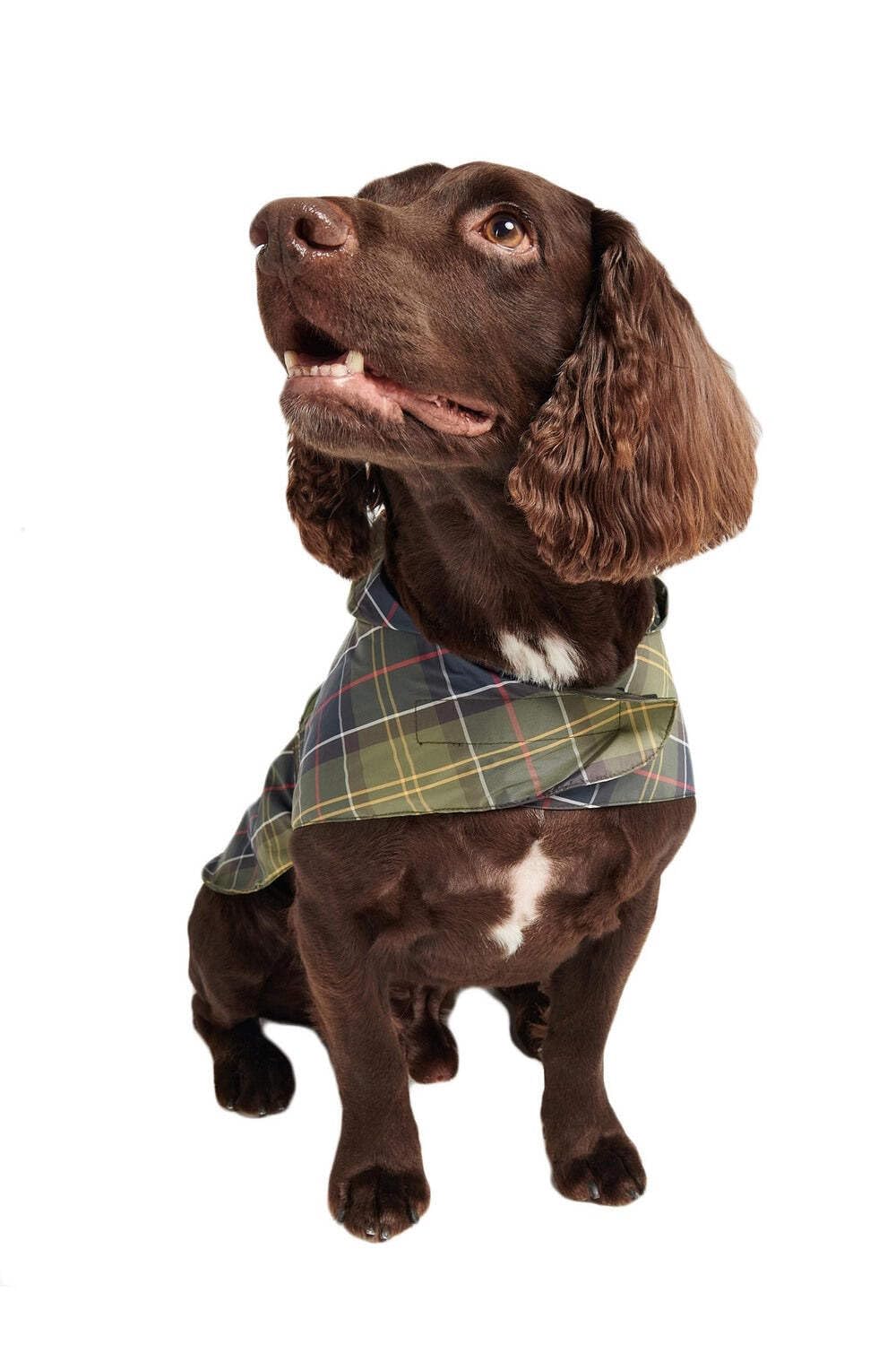 Impermeable Barbour DC00059 TARTAN