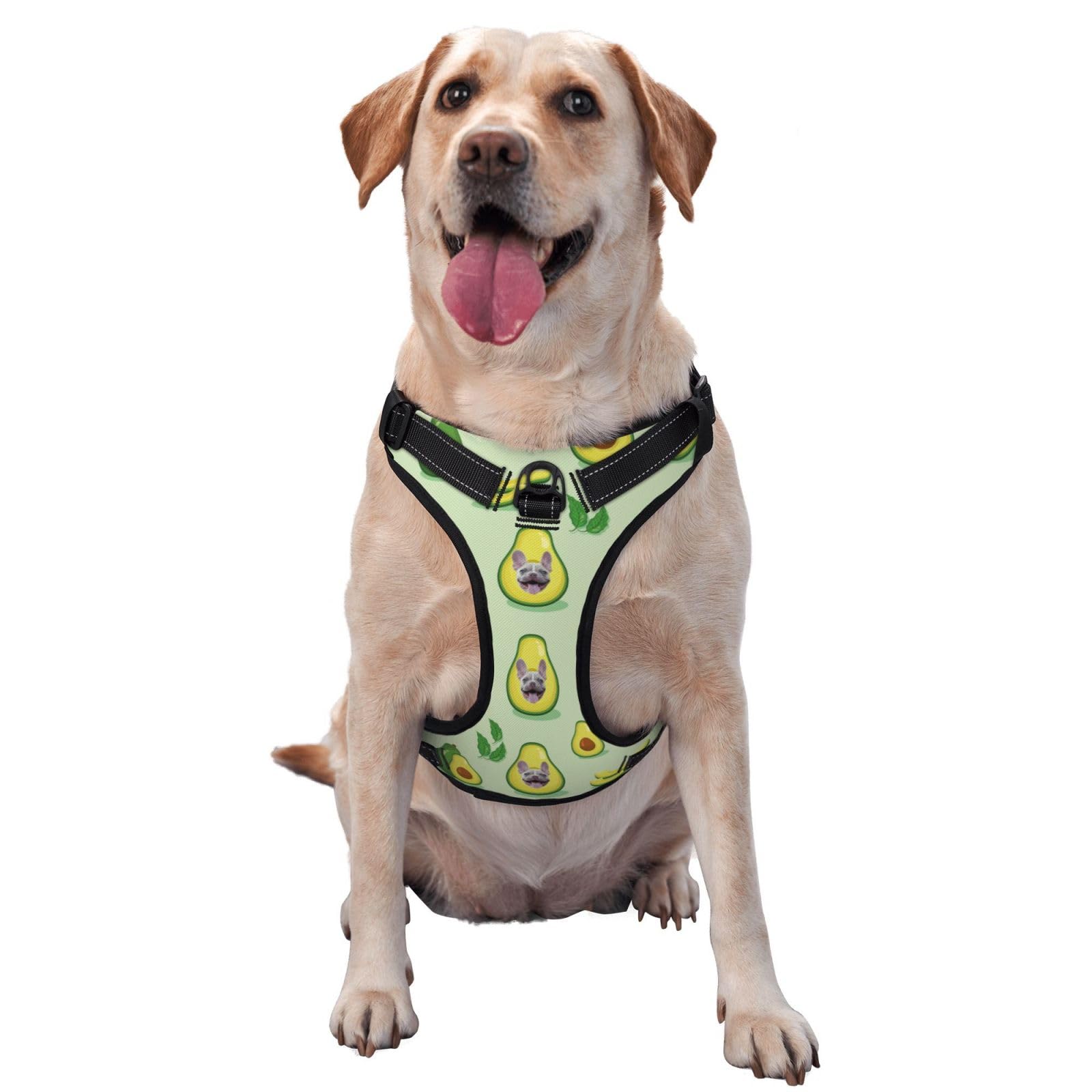 Personalized No Pull Dog Harness Leash, Custom Heavy Duty Reflective Dog Harness with Photo/Name/Phone Number/Text/Logo