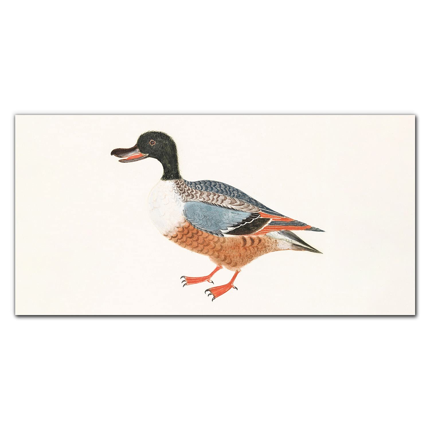 Protection de cuisine murale anti-éclaboussures 100x50cm crédence en verre trempé oiseau