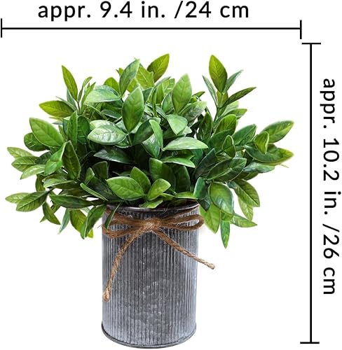 Miniatura 2 de Winlyn Paquete de 3 mini plantas artificiales de boj artificial de boj en macetas rústicas de metal galvanizado en macetas rústicas de metal