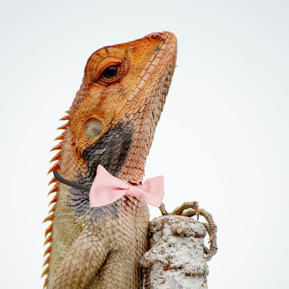 Bearded Dragon Hat and Bowtie,2 Pack Pink Cute Valentine's Day Small Pet Costume Outfits Accessories Set for Lizards Geckos Hamsters Bearded Rats - Image 4