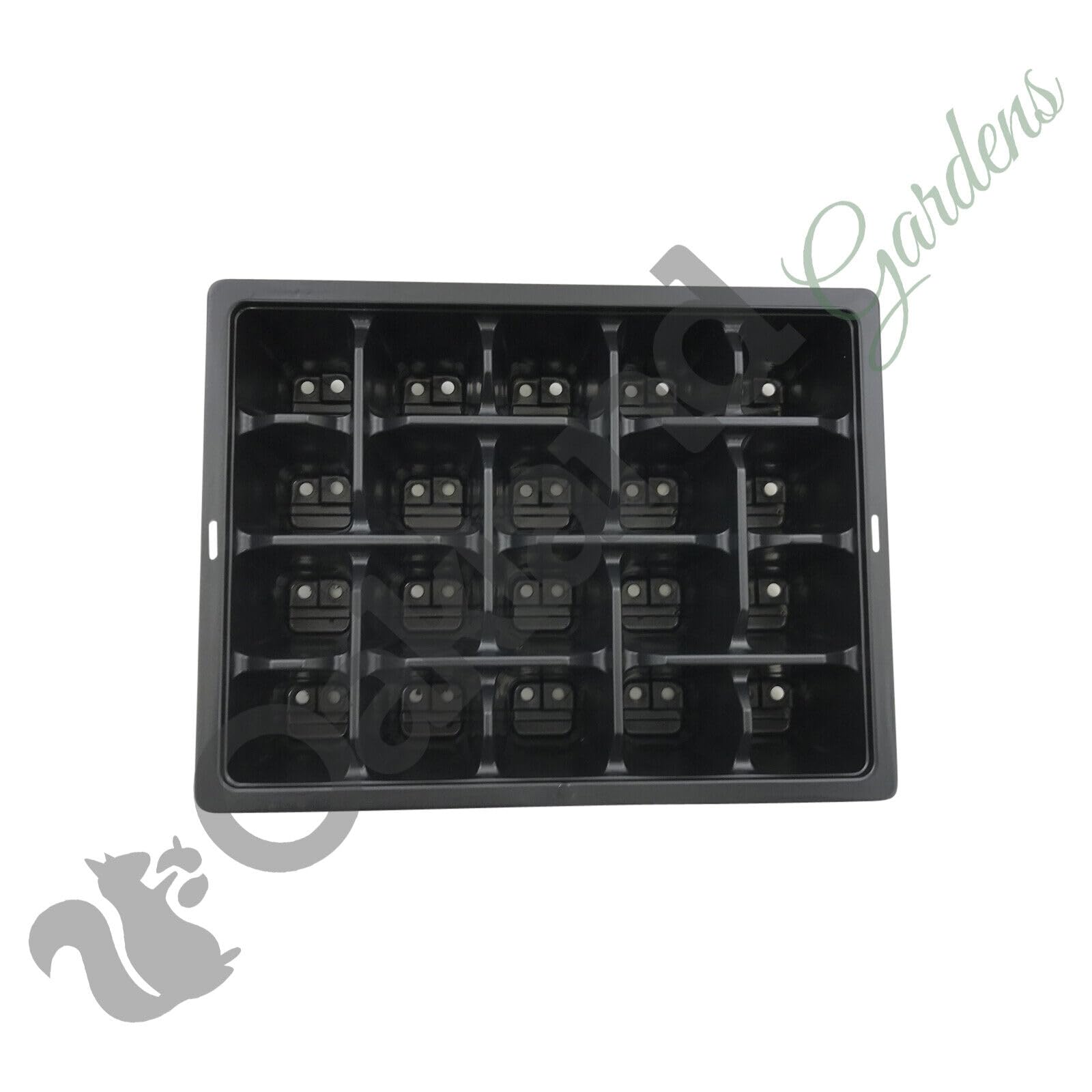 View 4