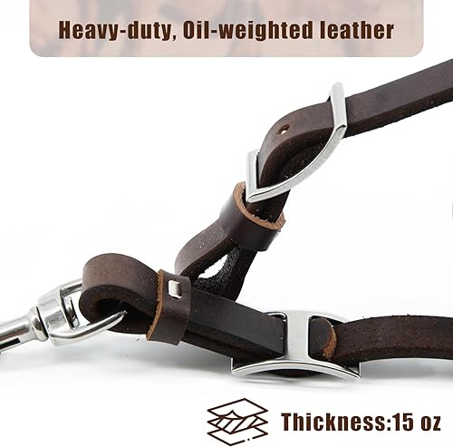 Jeereal Heavy Oil Harness Leather Horse Tie Down Strap - Made with Heavy Oil Weighted Harnness Leather, Stainless Steel Hardware, 3/4"x40" (Oil-Tanned | Brown)(Oil-Tanned | Coffee)