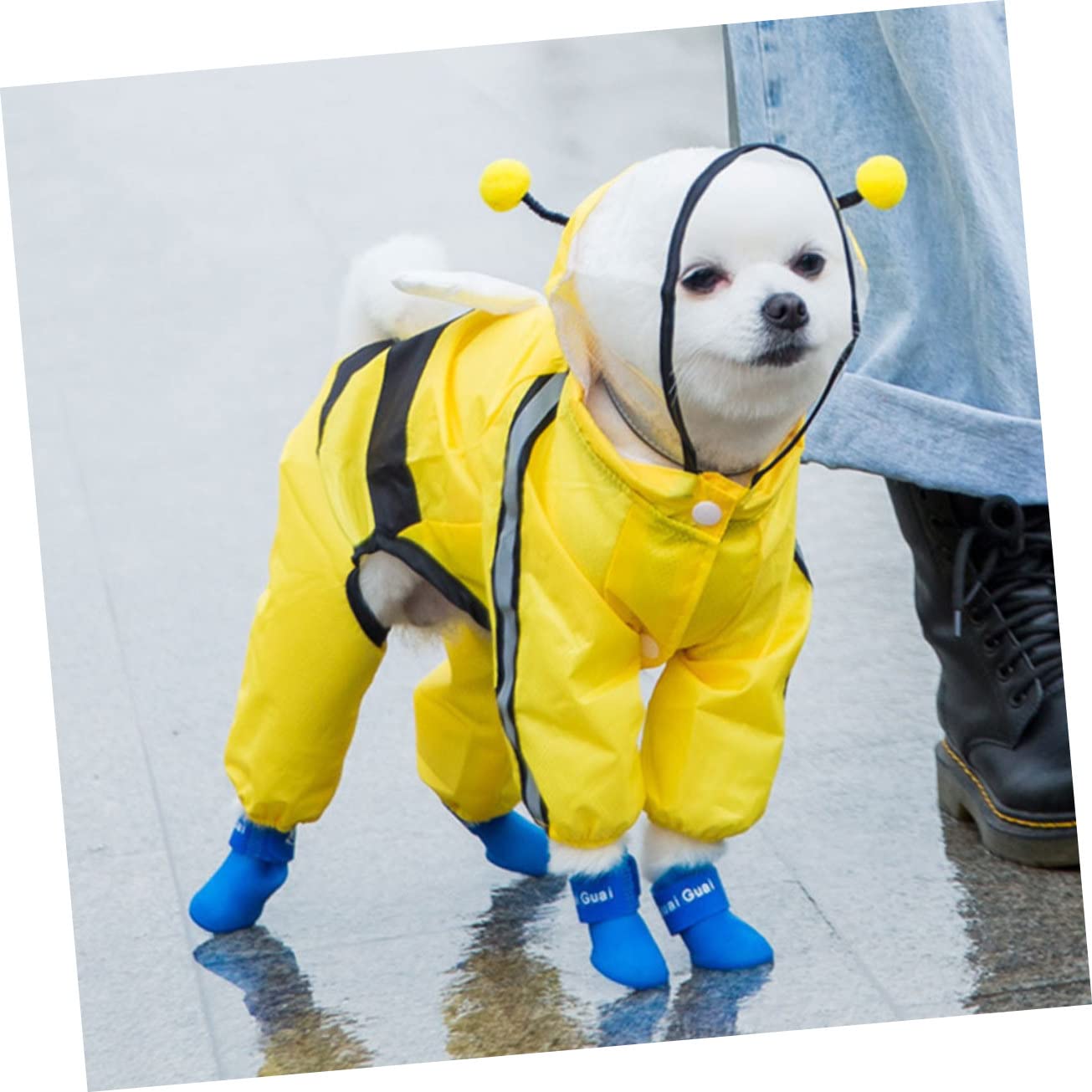 FRCOLOR 3pièces Manteau De Pluie pour Chien Abeille Veste à Capuche Imperméable pour Animaux De Compagnie Vêtements De Pluie Pratiques Et Stylés pour Chiens De Moyenne Et Petite