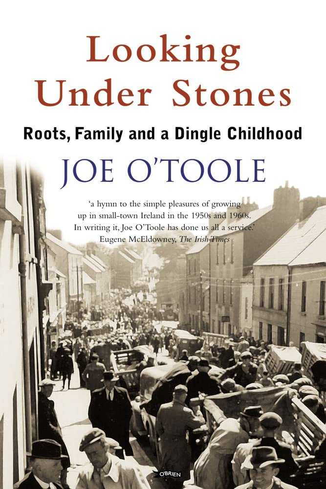 Looking Under Stones: Roots, Family and a Dingle Childhood