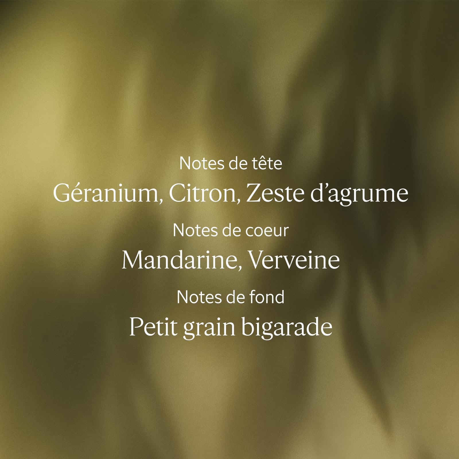 L'OCCITANE - Eau de Toilette Verveine - 100 ml - Notes acidulées et rafraîchissantes - Fabriqué en France