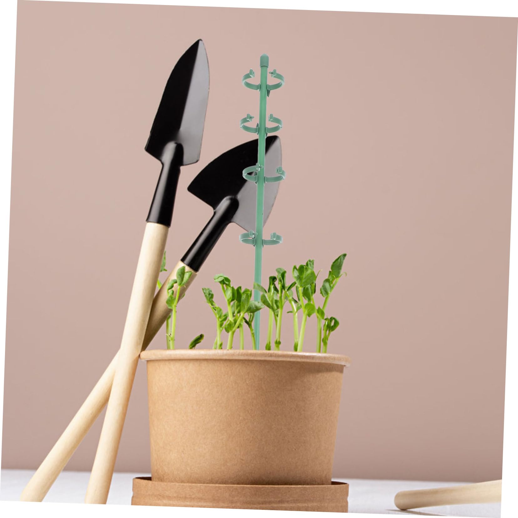 2 Ensembles Tige de Soutien pour Plantes de Jardin de Piquets de Soutien Floraux Boucles Ajustables pour Roses Plantes Grimpantes Outils Pratiques pour Jardinage Extérieur
