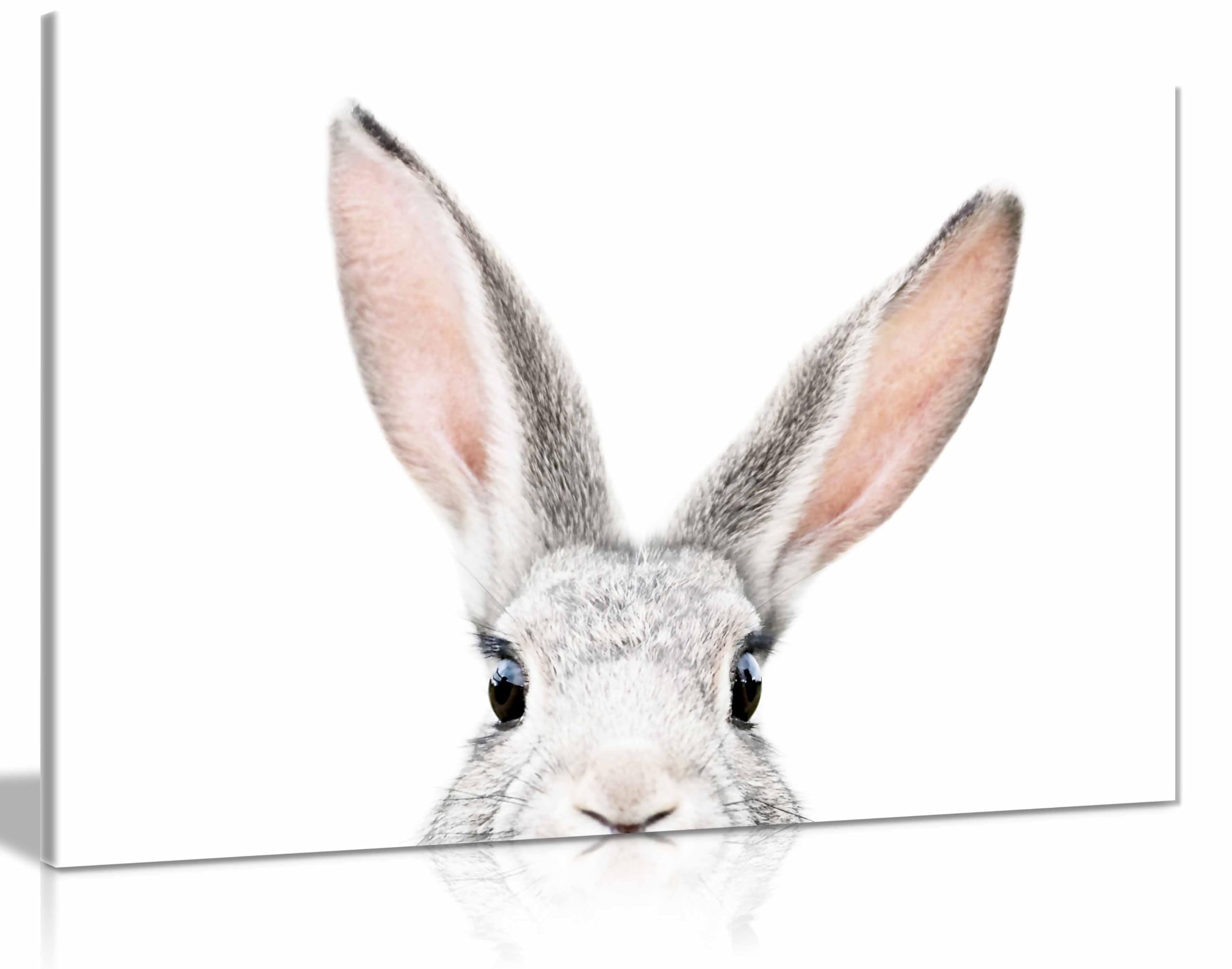 Peeking Bunny Framed Canvas Print, Pictures for Home Walls, Bedroom, Living Room & Bathroom Decor 76x51cm (30x20in)