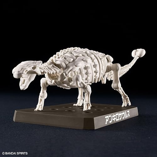 Miniatura 9 de Bandai Hobby - Plannosaurus - Kit de modelo de dinosaurio anquilosaurio #06
