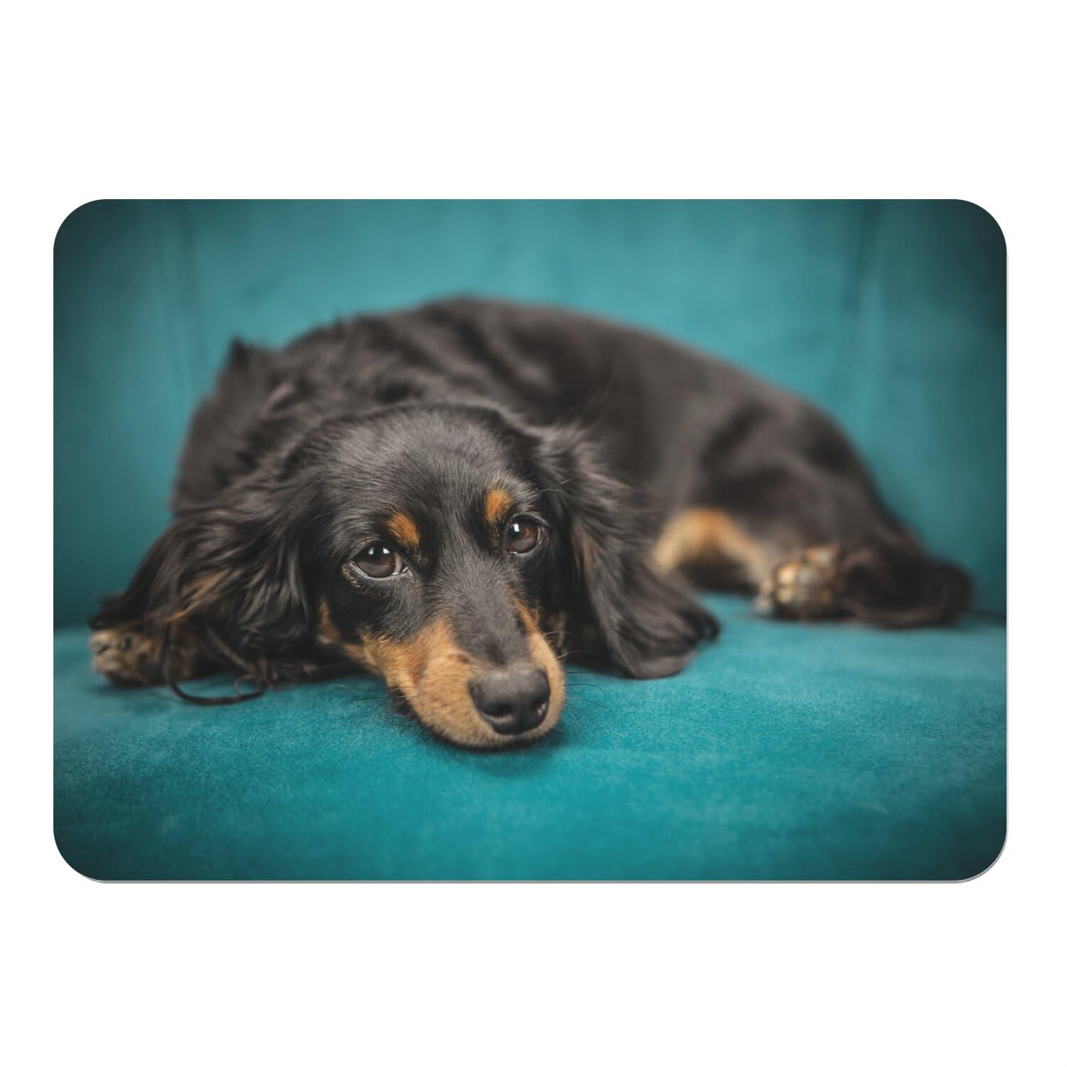 Set de table corgi dessous liège napperon souple grand format petit chien 4x