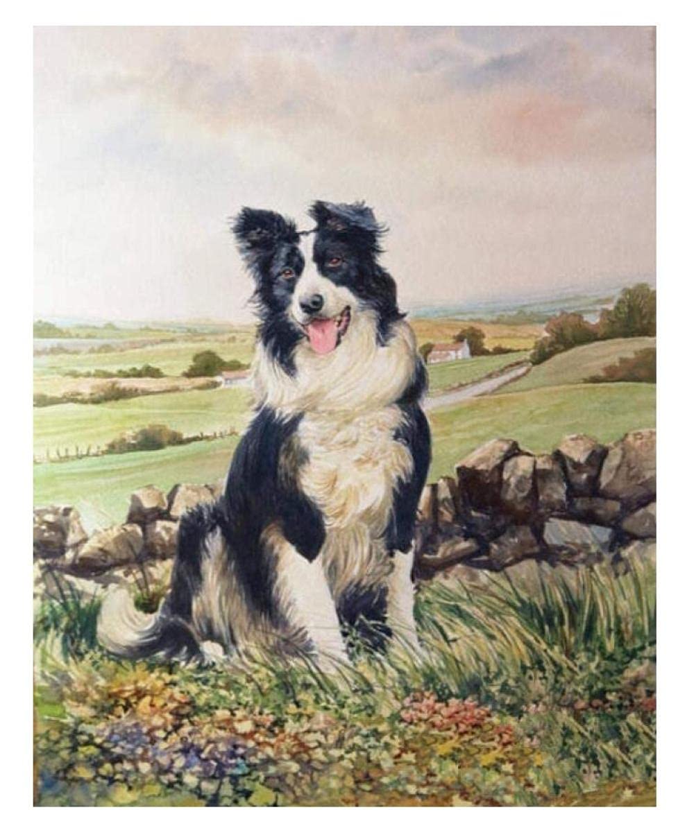 Amazon | 犬のボーダーコリーを数字で描く大人の子供たちで描くDIY