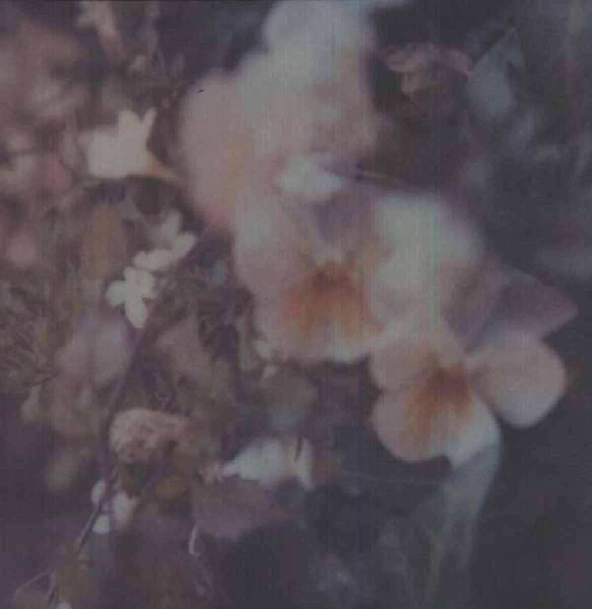 Luz [VINYL]