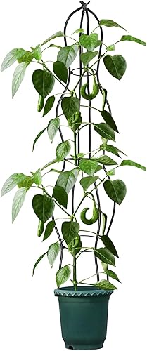 Miniatura 7 de 2 enrejados de metal para jardín, enrejado de plantas trepadoras de 70 pulgadas para exteriores, enrejado de obelisco estético artístico, enrejado