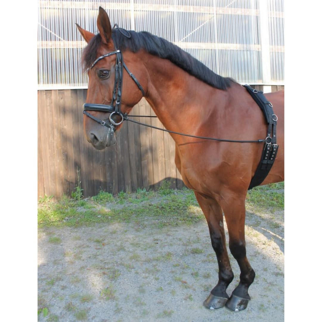 PFIFF 103118 - Prolunga cervicale per correggere la Postura, chambon Elastico, allungamento del Collo, miglioramento del Dolore al Collo e al Collo, 3,4 m, Nero, Completo