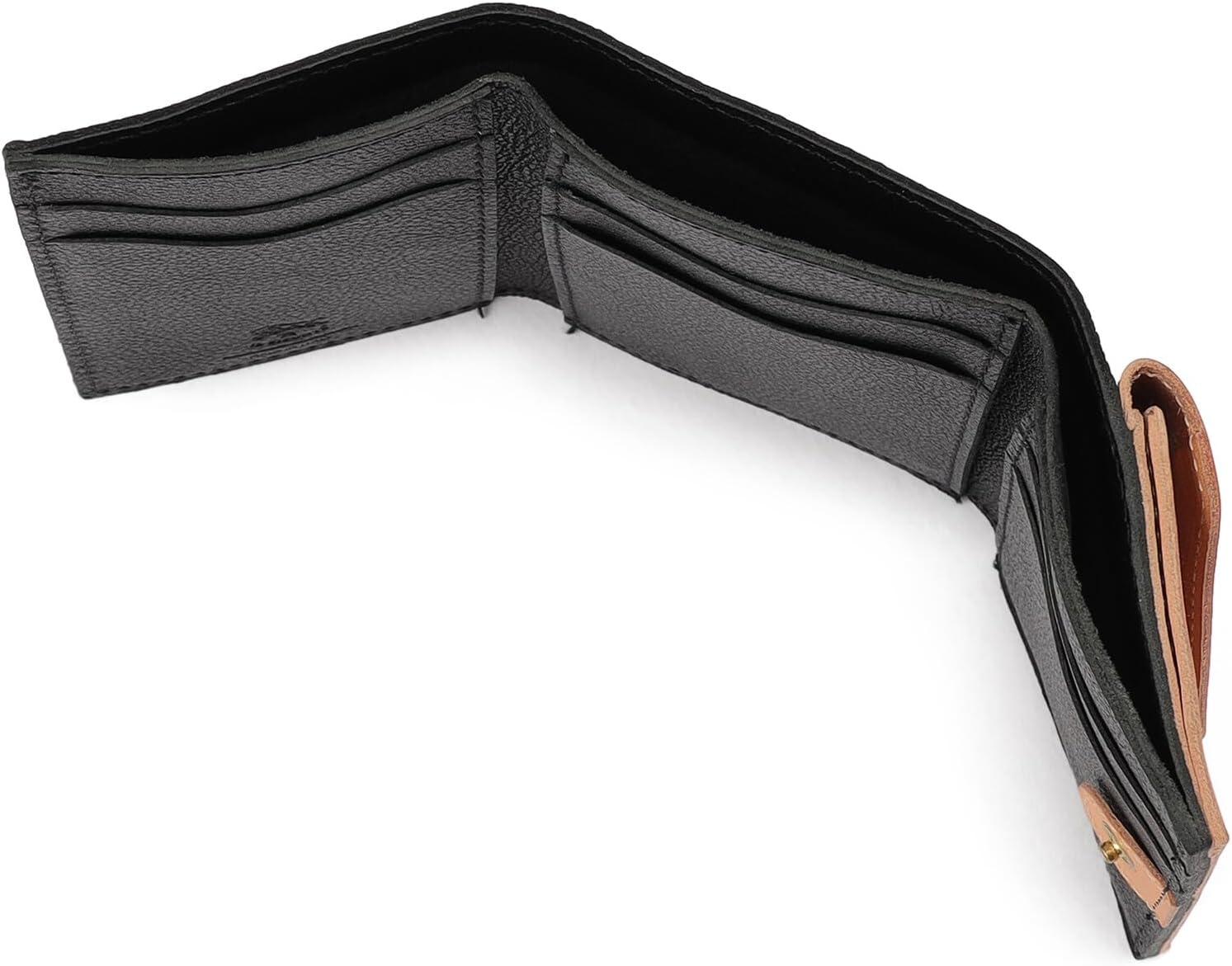 100 山採り ソヨゴ 雌雄不明 100 山採り ソヨゴ 雌雄不明 100 山採り