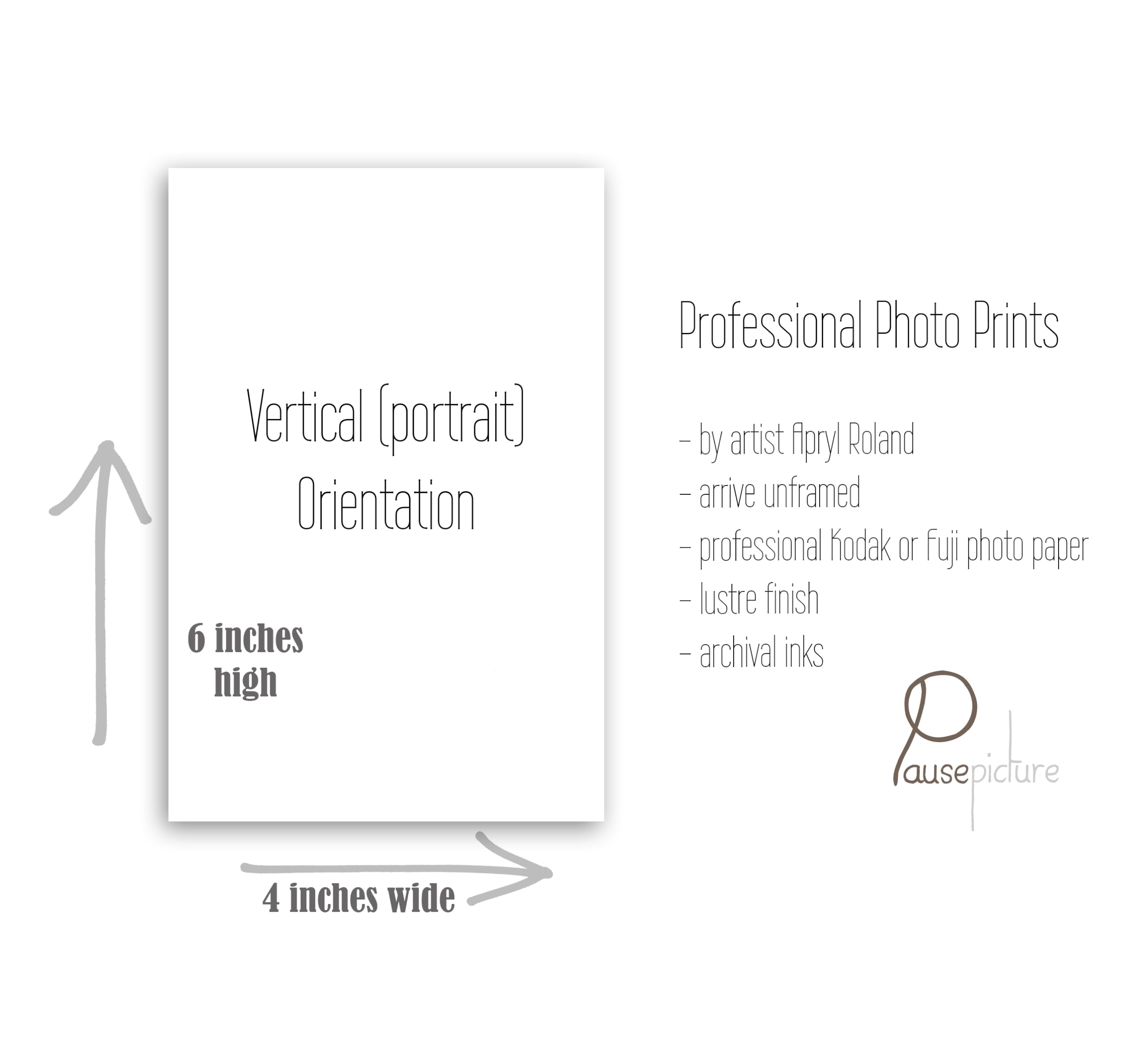 Charleston Photography - UNFRAMED - Print Set of 2, 4x6 inches each | Pineapple Fountain, Charleston Home, Window Boxes, Gates of Charleston