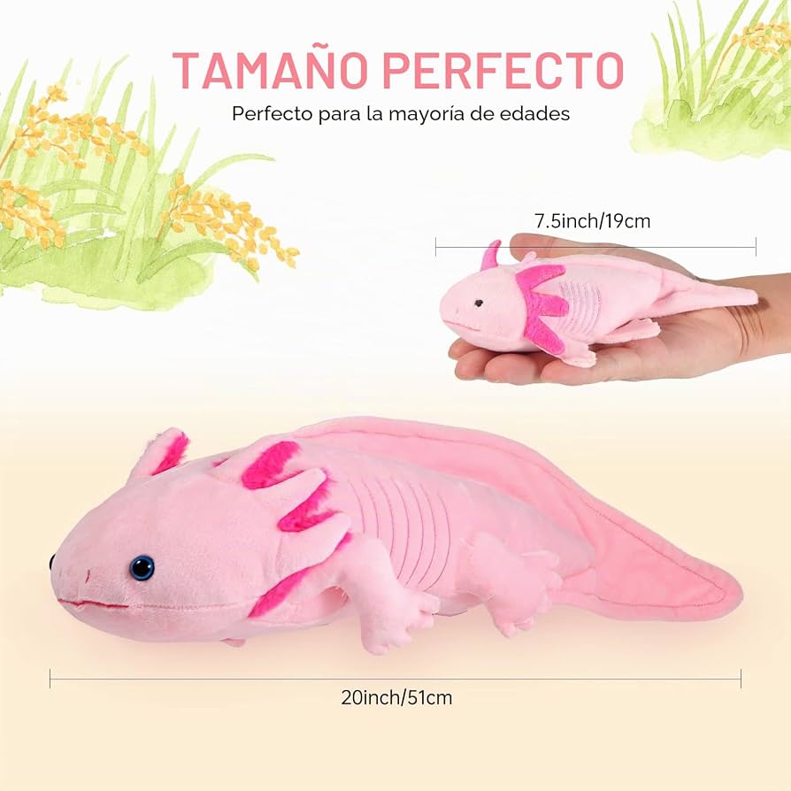 Peluche Axolotl personnalisée 14 Salamandre en peluche Axolotl Poupée en peluch
