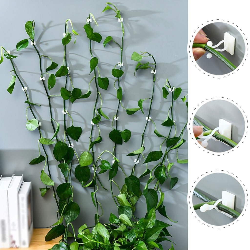 Pflanzensttzclips Fr Pflanzen Im Freien, Wandrebenbefestigung Fr Den  Garten, Pflanzensttzclips Fr Zimmerpflanzen, Geeignet Fr Tomaten, ...