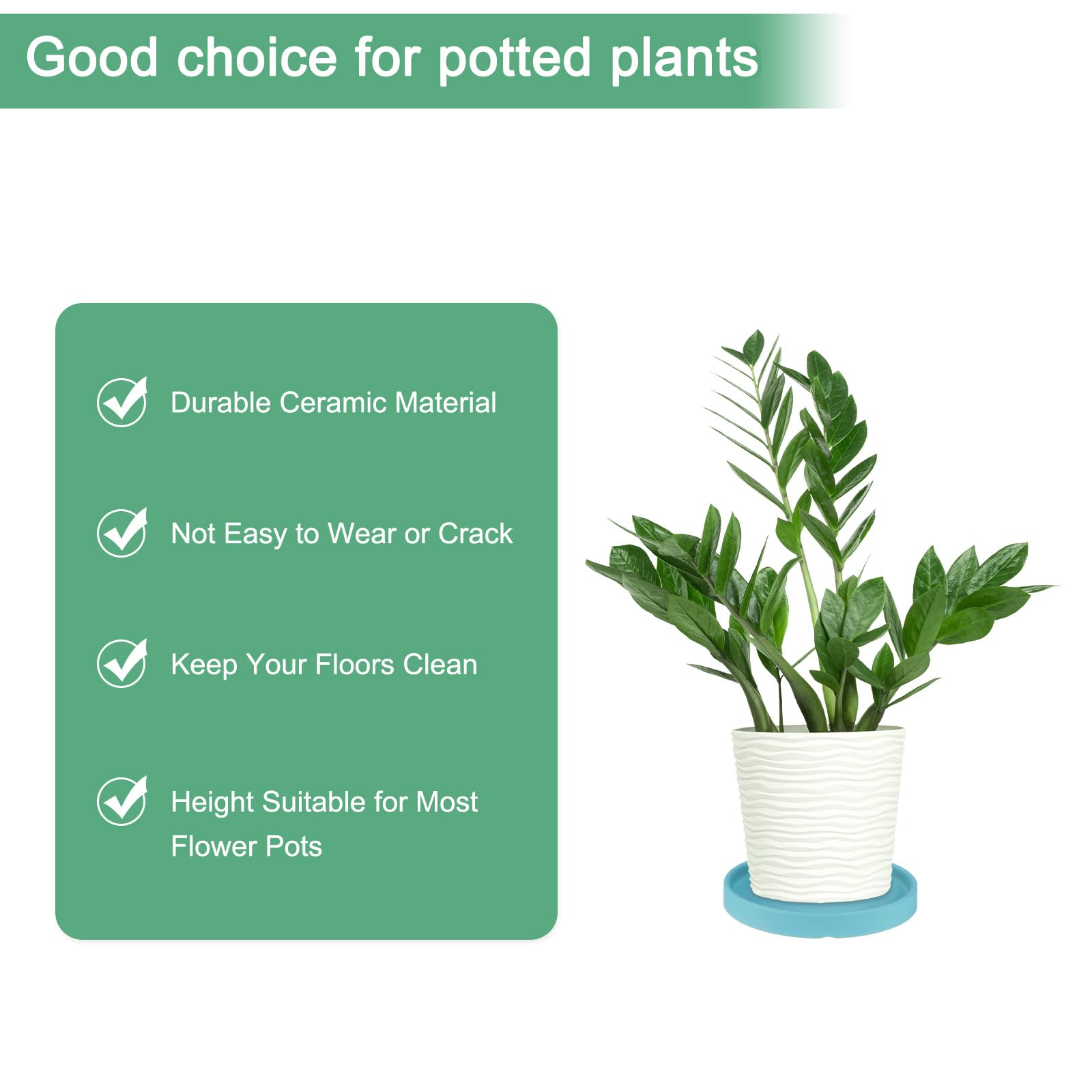 M METERXITY 2-Pack Ceramic Plant Saucer, 6.3 Inch 16cm Plant Water Catcher Tray - Image 3