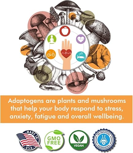 Miniatura 5 de Complejo de hongos inmunitarios - Reishi, melena de león, chaga, cordyceps, cola de pavo, Shitaake - Apoyo al sistema inmunológico, respuesta