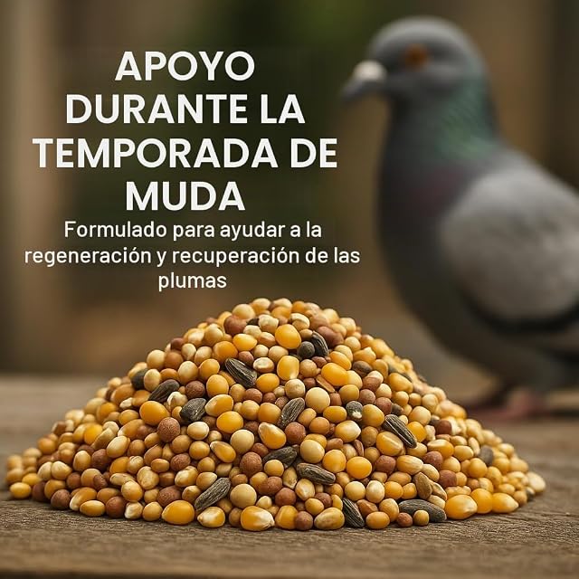 Foto 2 de 7 de GiDeli Comida para Palomas 10 kg - 21 Granos y Semillas - Cría y Deporte
