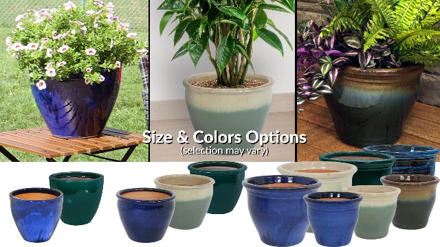 Amazon.com : Sunnydaze Large Ceramic Plant Pot - Round Outdoor