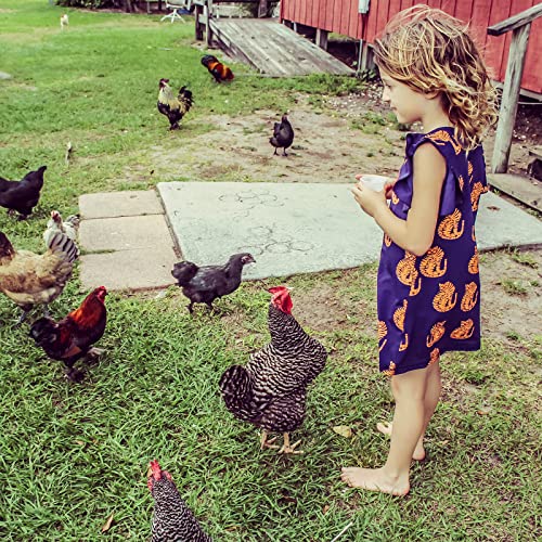 GOLDWORMS 10LBS Dried BSF Larvae/Dried Mealworm,85x More Calcium Than Mealworms,100% Natural - Non GMO Black Solider Fly… - Image 8