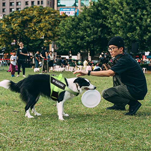 Dog Vest Patches For Dog Harness, Removable Patches - Service Dog, Emotional Support, In Training, Therapy Dog, Do Not Pet(2 Pcs) #TOP5