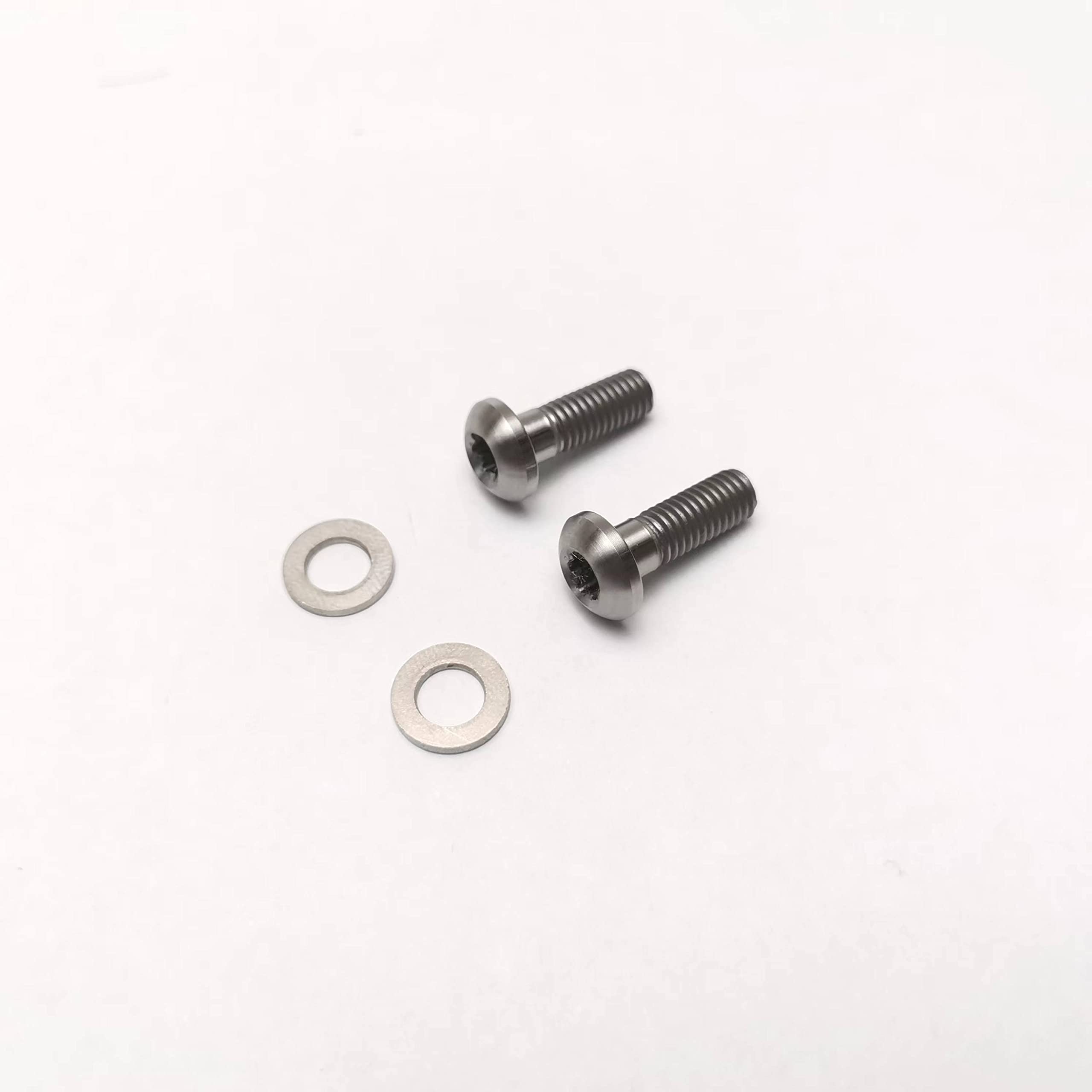 TAKEWELL Titanium Flat Mount Disc Bolts T25 15-42mm 2 Pcs for SRAM Flat Mount Frame Disc Caliper Bracket (TI T25 22mm)