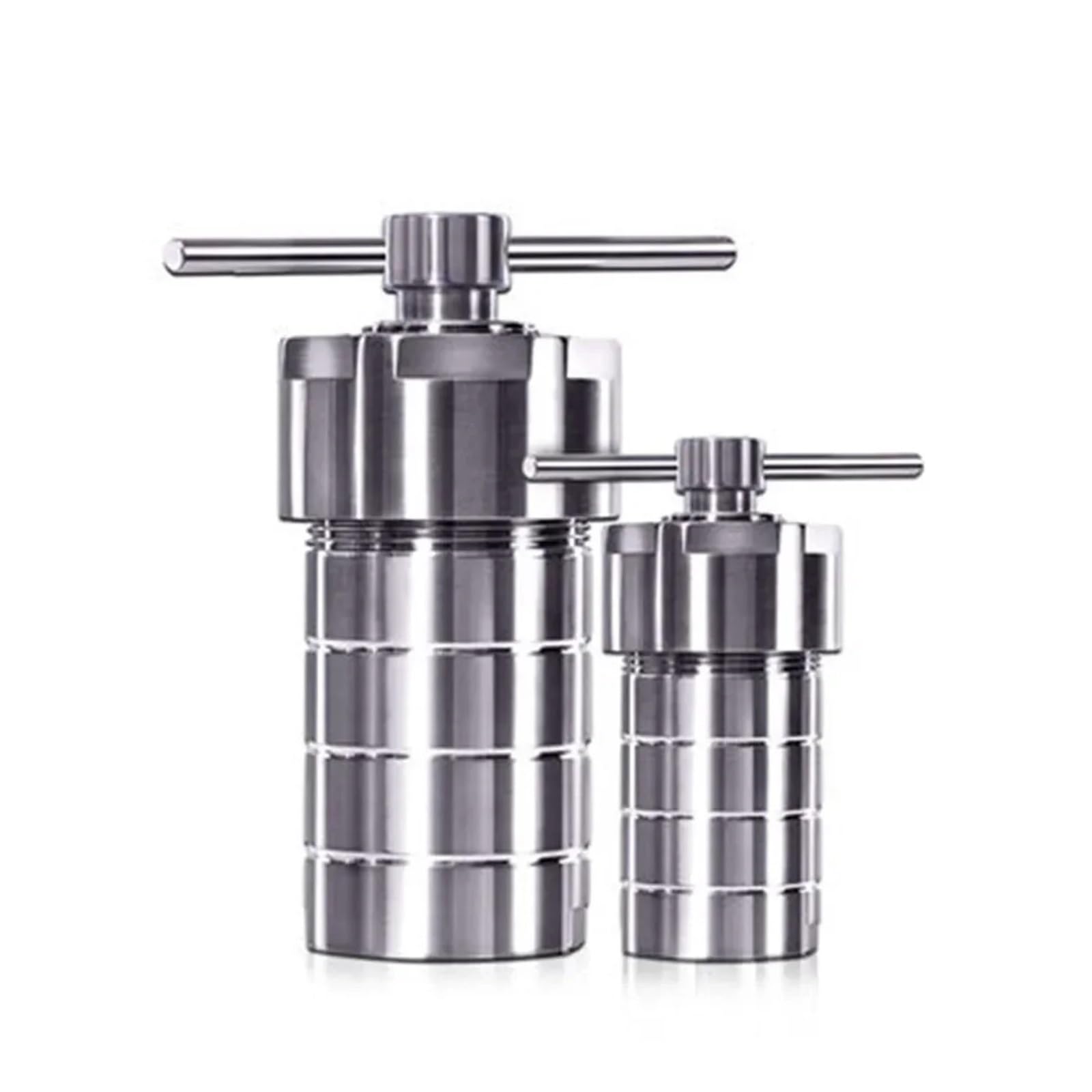 100-Ml-Hydrothermal-Autoklavreaktor Mit PTFE-Kammer Für Die Hydrothermalsynthese – Vielseitige Anwendungen(Silver-300Ml)