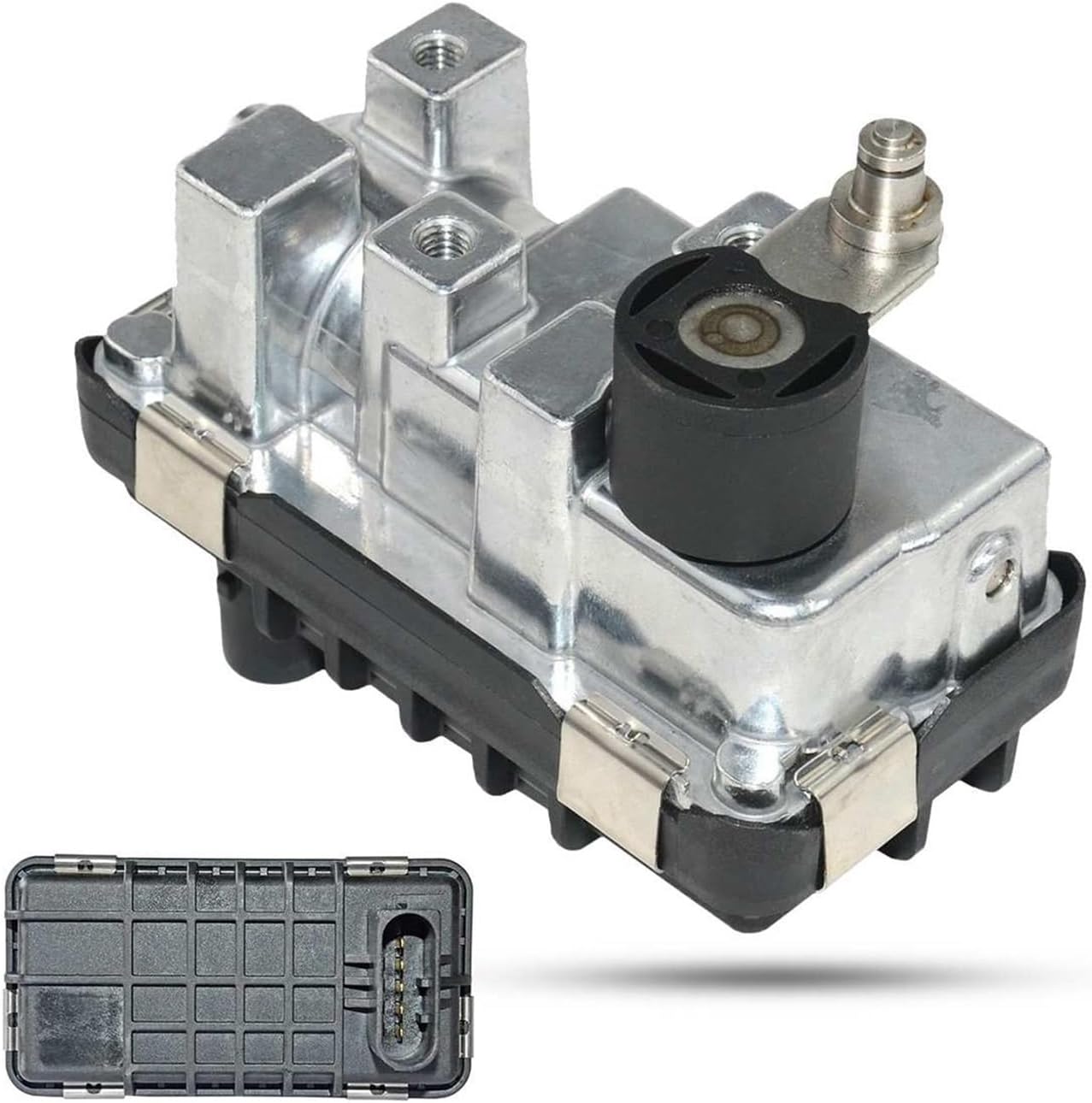 確認用です ソル】ストレッチコードwithパドル L 水泳 スイム