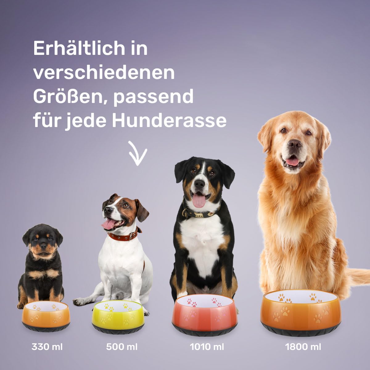 EHASO Wasser-/Futternapf