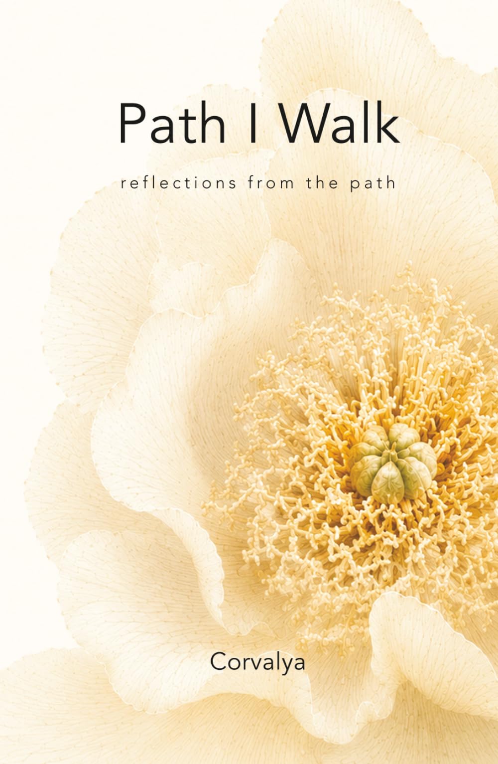 Path I Walk: reflections from the path