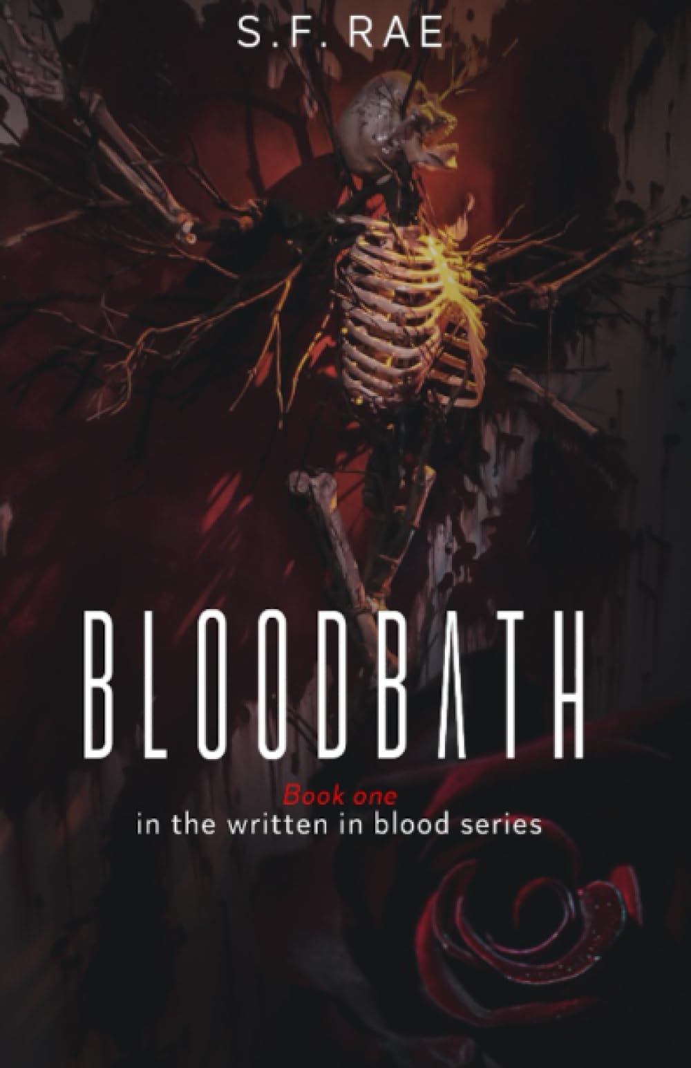 Bloodbath: Book one in the written in blood series: 1