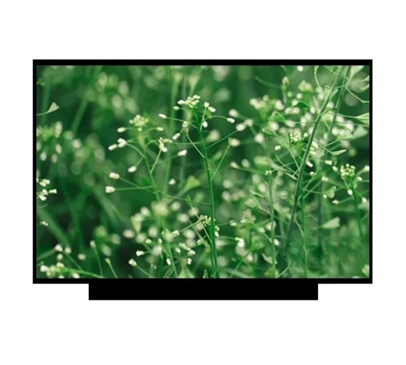 F15 FX506HM, Compatible con TUF Gaming, Pantalla LCD