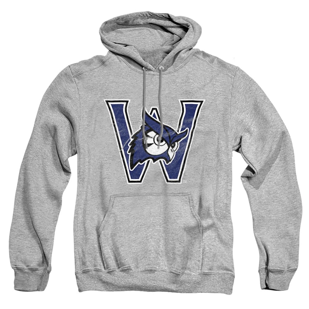 LOGOVISION Official Collegiate Distressed Primary Logo Adult Pullover Hoodie Collection — view 181